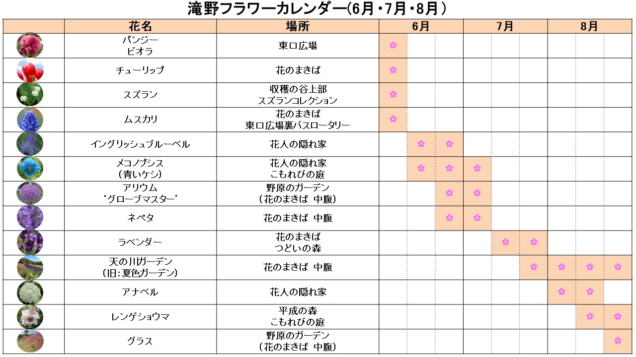 フラワーカレンダー ６月 ７月 8月 滝野公園公式ウェブサイト