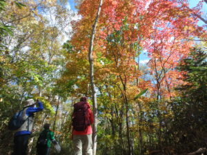 滝野の森 紅葉トレッキング【定員】 @ 森の情報館