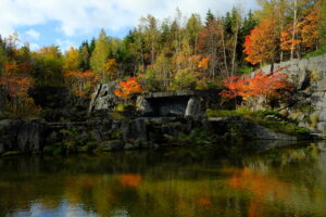 水鏡に映る紅葉を見よう