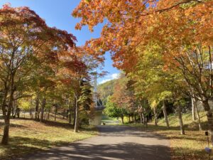 紅葉まつり