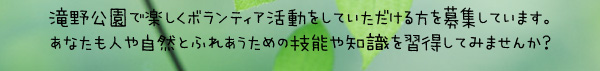 滝野公園で楽しくボランティア活動をしていただける方を募集しています。あなたも人や自然とふれあうための技能や知識を習得してみませんか。